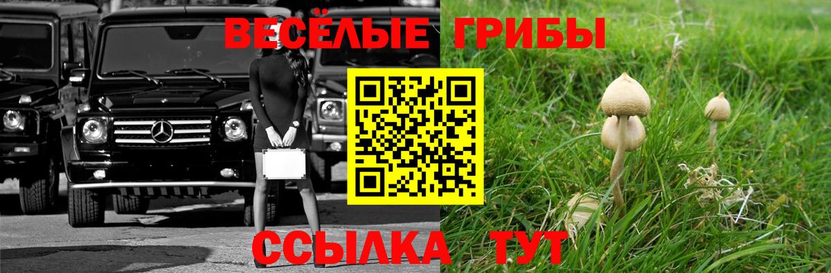 Галлюциногенные грибы мухоморы  Вход с VPN  Гуково 